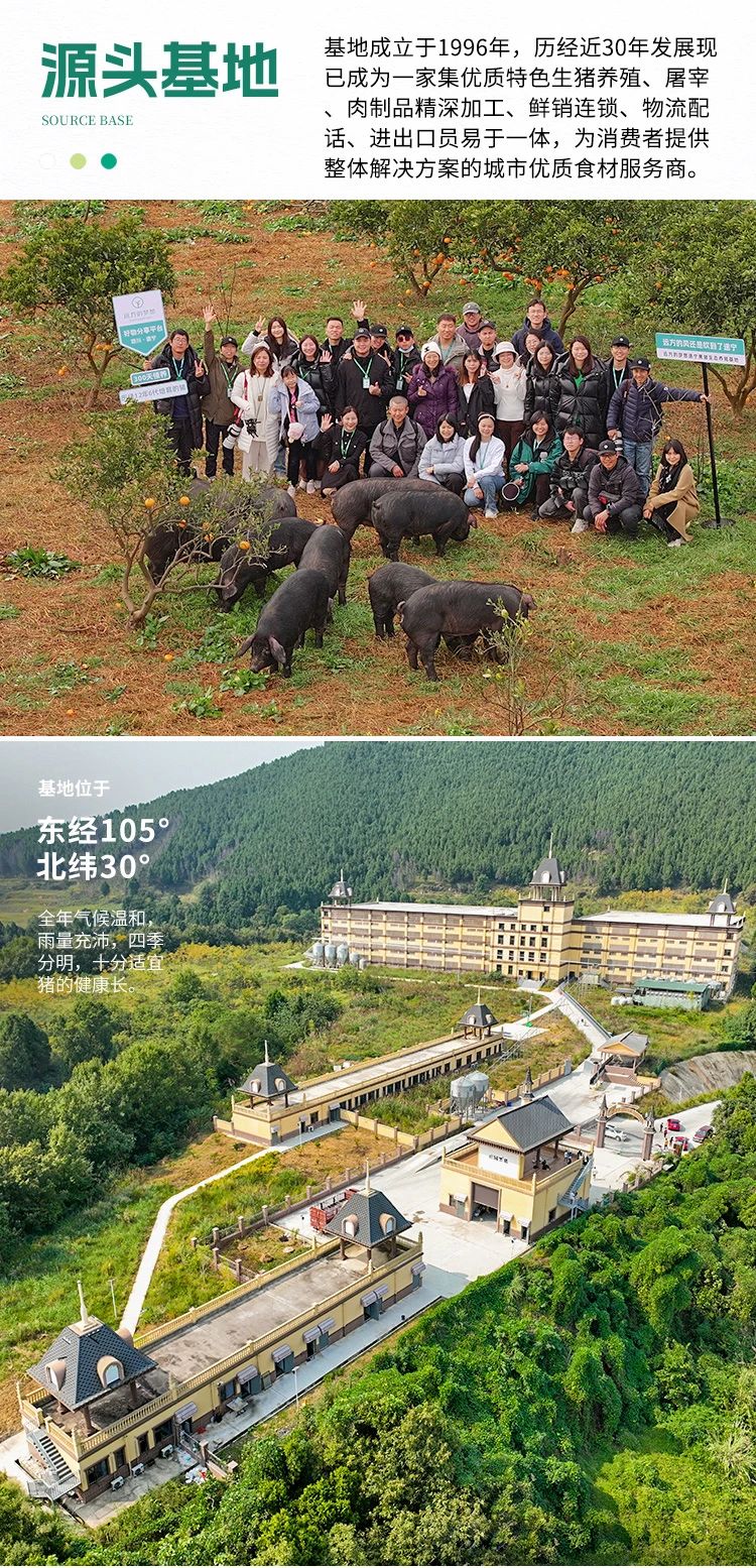 1730682228751708.jpg 0004.jpg