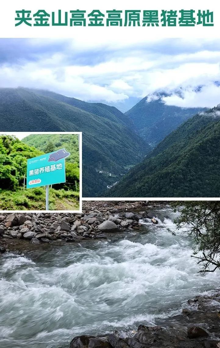 1730682258853460.jpg 0007.jpg