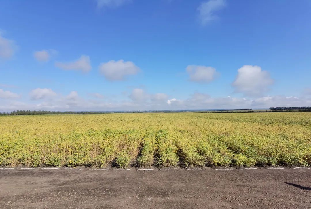 1731201119156794.jpg 0003.jpg