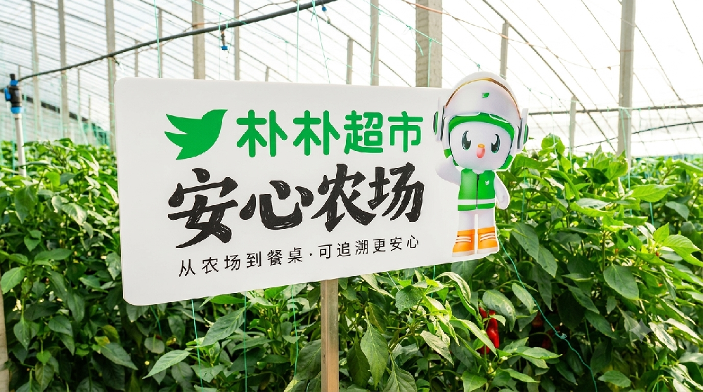 彩椒背后的生鲜暗战:朴朴如何以 “安心” 破局?